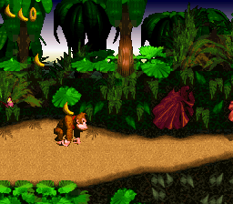 Donkey Kong Country Screenshot 1